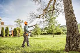 Why Choose Our Tree Removal Services in Fremont, IN?